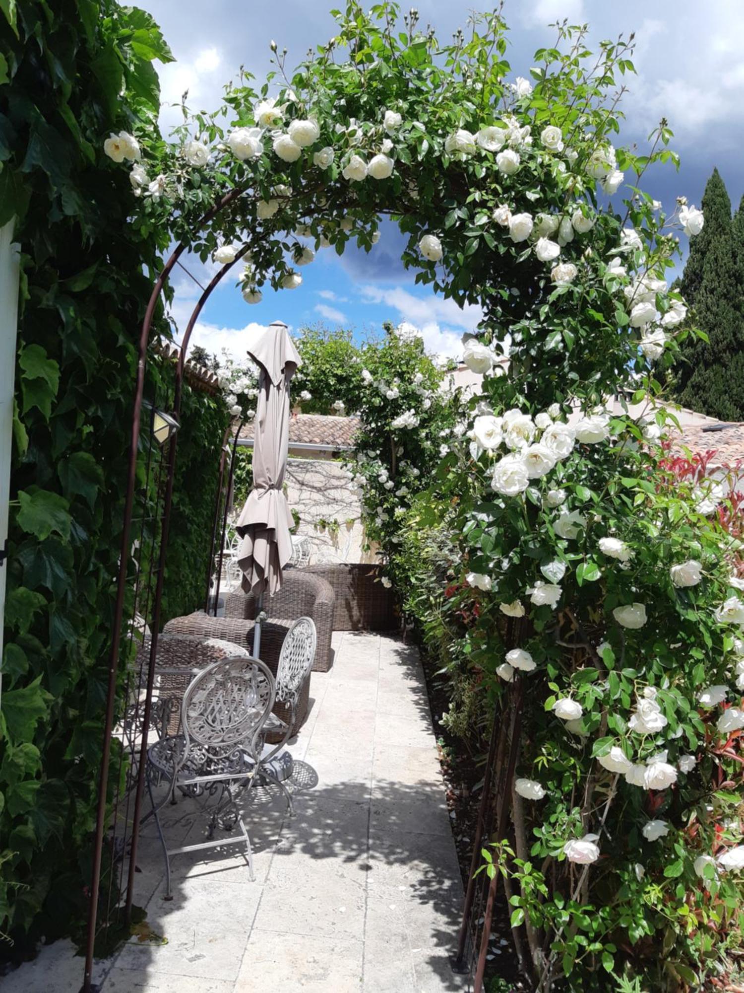 Le Chat Sur Le Toit Lourmarin Exteriér fotografie