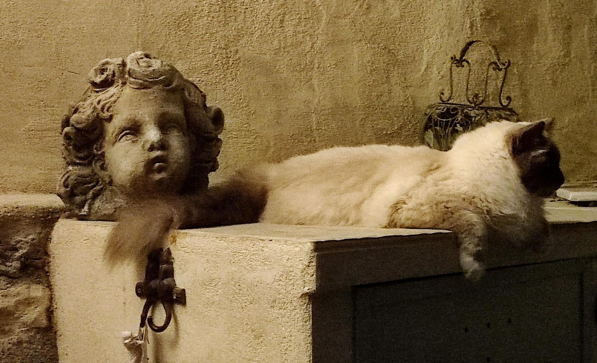 Le Chat Sur Le Toit Lourmarin Exteriér fotografie
