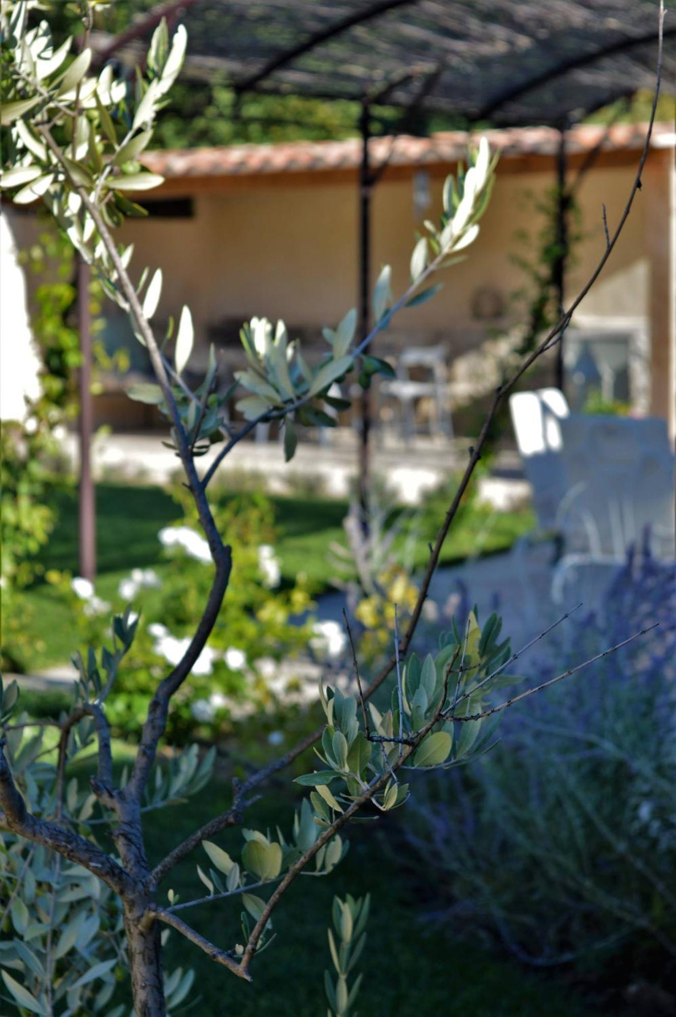 Le Chat Sur Le Toit Lourmarin Exteriér fotografie